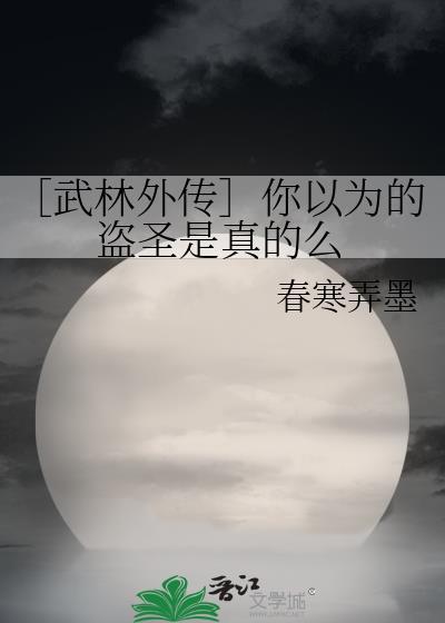 ［武林外传］你以为的盗圣是真的么